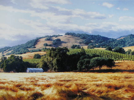 June Carey - Wine Country