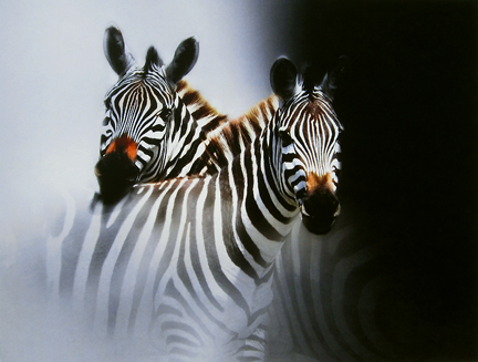 Bobbie Goodrich - Ying & Yang