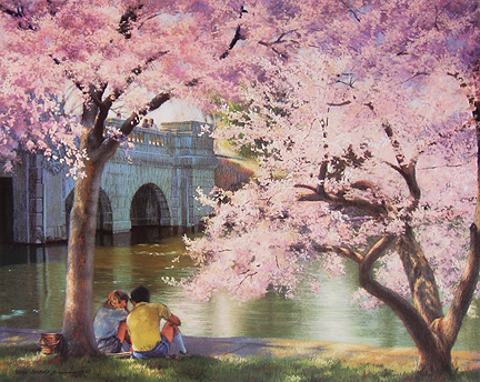 Barbara Hails - Cherry Blossoms