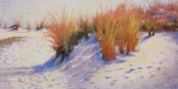 Barbara Hails - Dune Grasses