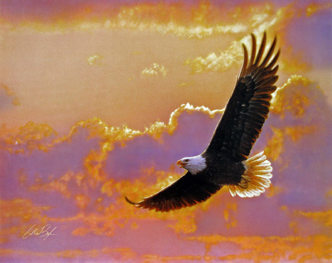 Collin Bogle - Soaring Spirit