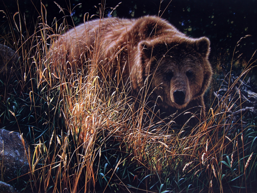 Collin Bogle - Crossing Paths