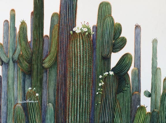 Carol Ann Schrader - Lineup
