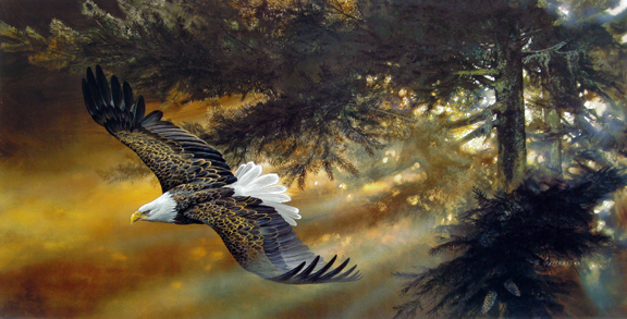 Duane Geisness - Freedom