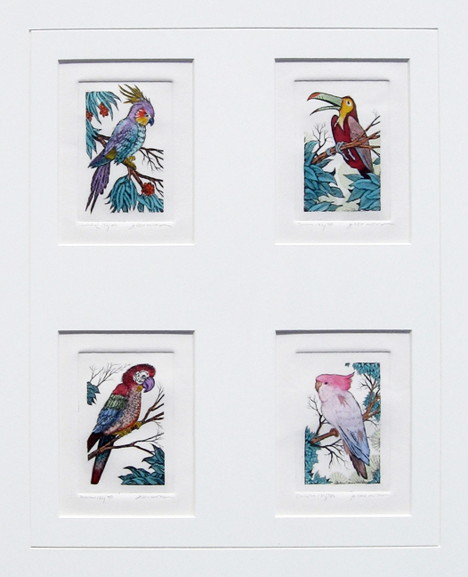 Dan  Mitra - Tropical Birds Set of Four - Framed