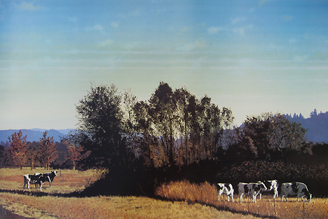 Edwin Koch - October