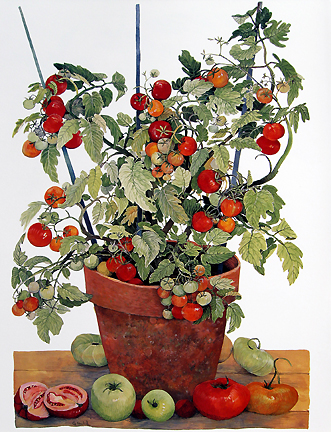 Gary Milek - Potted Tomatoes I