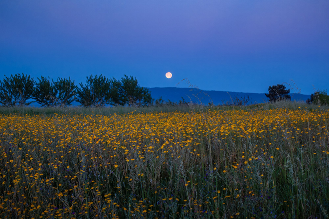 Jonathan Keeton - Moonset, Spring, Portugal