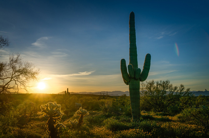 Jonathan Keeton - Sunrise, Tonto National Forest