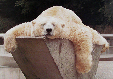 Jim Steinbacher - Do Not Disturb