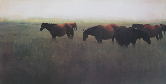 Michael Workman - Brood Mares