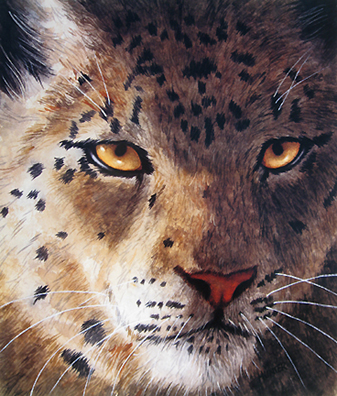 Patricia Hunter - Snow Leopard