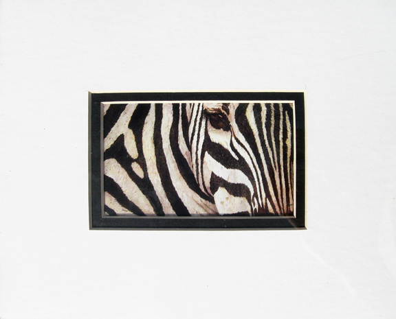 Patricia Hunter - Stripes - small matted image