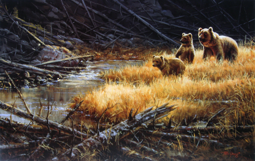 Paco Young - Yellowstone Grizzlies