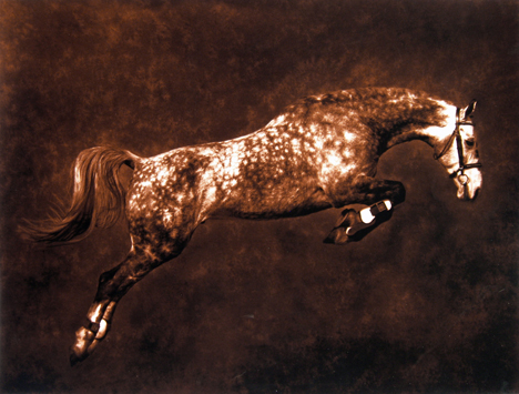 Robert  Dawson - Free Jumper