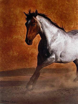 Robert  Dawson - Leo's Metallica