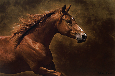 Robert  Dawson - Little Ruby - A Fine Looking Brown Horse