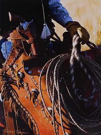 Robert  Dawson - Range Rider III