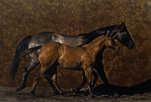 Robert  Dawson - Mother & Son