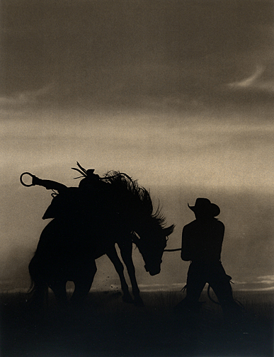 Robert  Dawson - Bucking Horse Silhouette