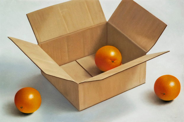 Robert Peterson - Oranges and Cardboard Box