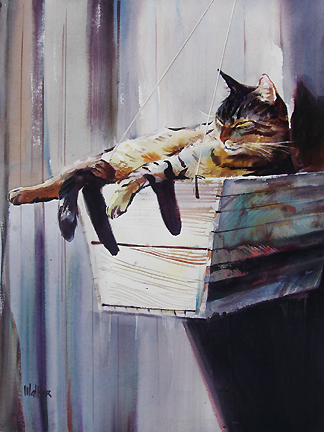 Rusty Walker - Cat in a Flower Box