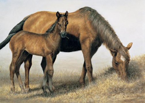 Vi Thurmond - Foal and Mare